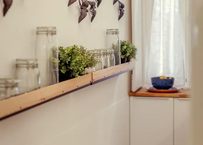 Skylight - Estrela *