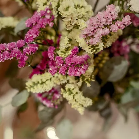 Skylight - Estrela Lisbona