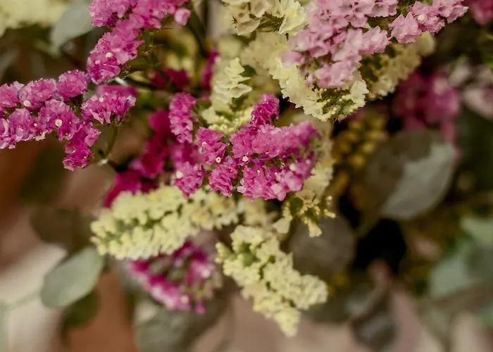 Skylight - Estrela Lisboa